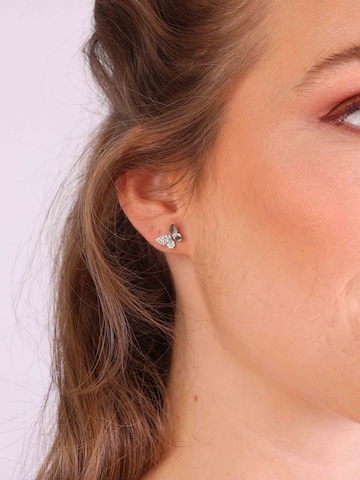 Boucles d'oreilles Lucardi en argent : devant