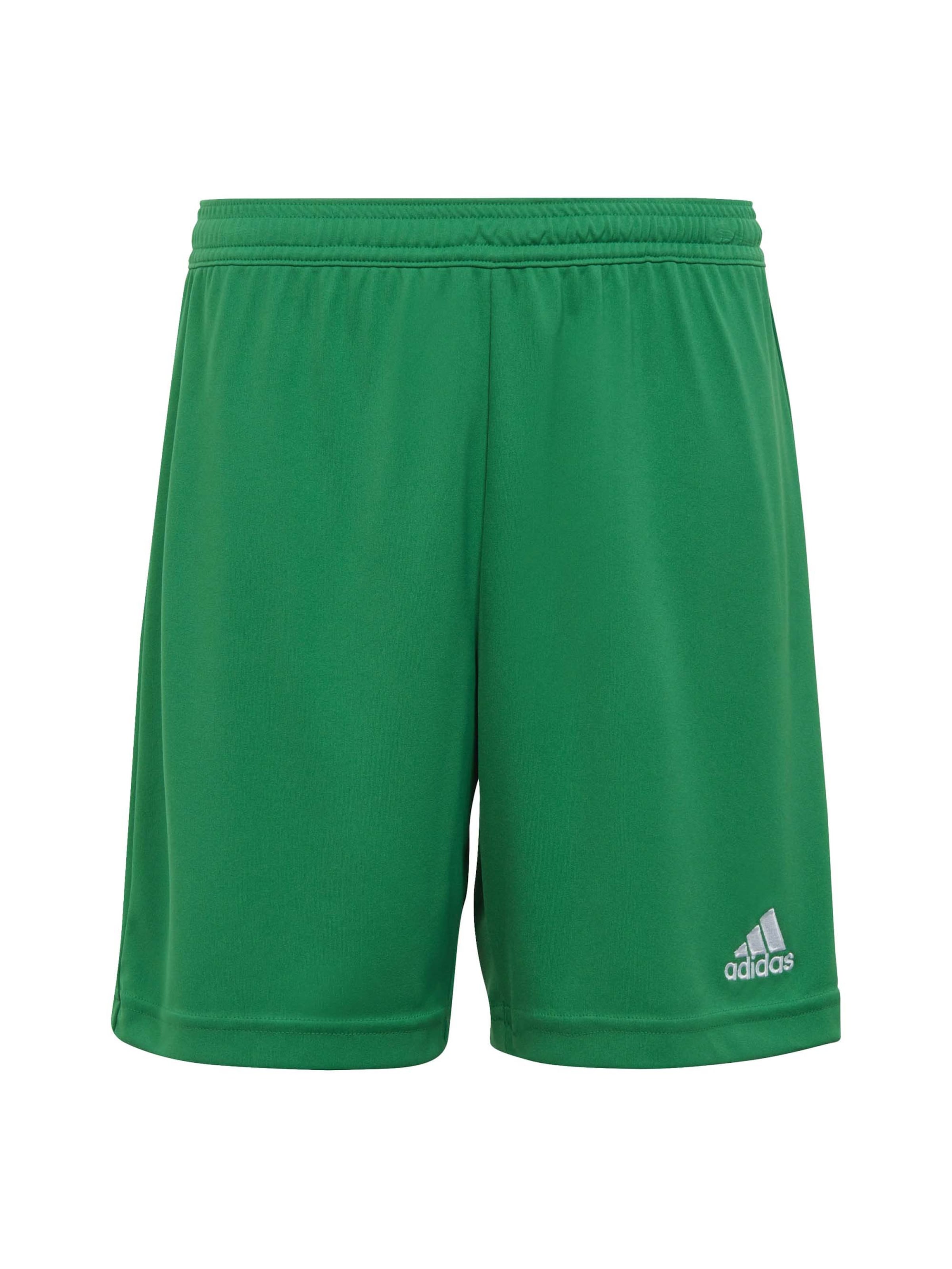 ADIDAS PERFORMANCE - Pantalón deportivo 'Entrada 22' en verde: frente