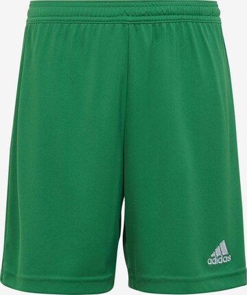 ADIDAS PERFORMANCE Regular Workout Pants 'Entrada 22' in Green: front