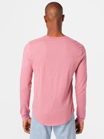 HOLLISTER Longsleeve in Grün