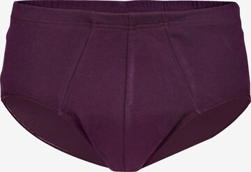 Charles Colby Panty 'Lord Maneley' in Mixed colors