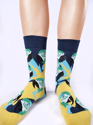 UNABUX Socks in Mixed colors