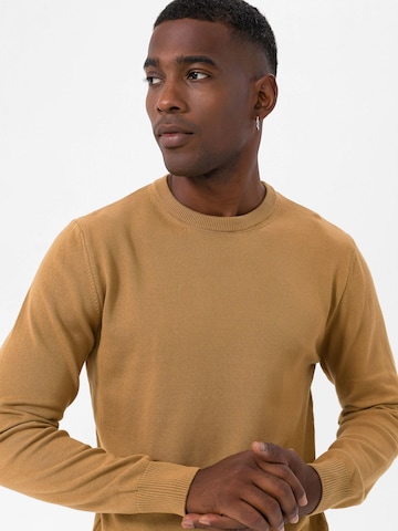 Dandalo Bluser & t-shirts i brun