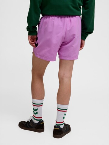 Hummel Swimming Trunks 'Ned' in Purple