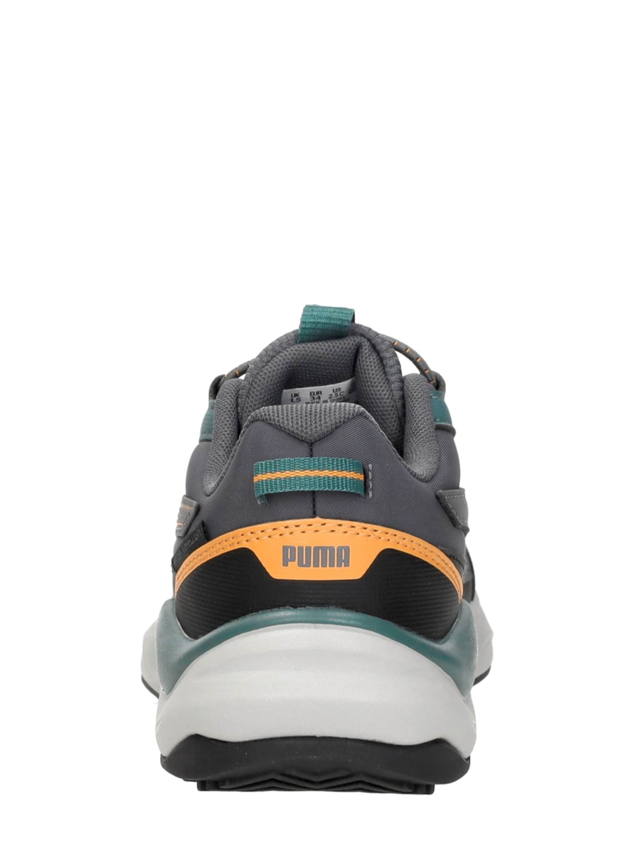 PUMA Sneakers 'Evolve 2.0 Trail Lo PS' in Grijs