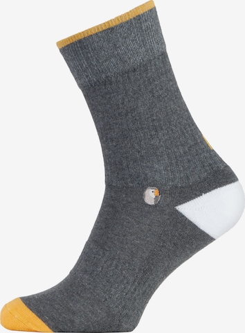 Chaussettes Sokid en gris