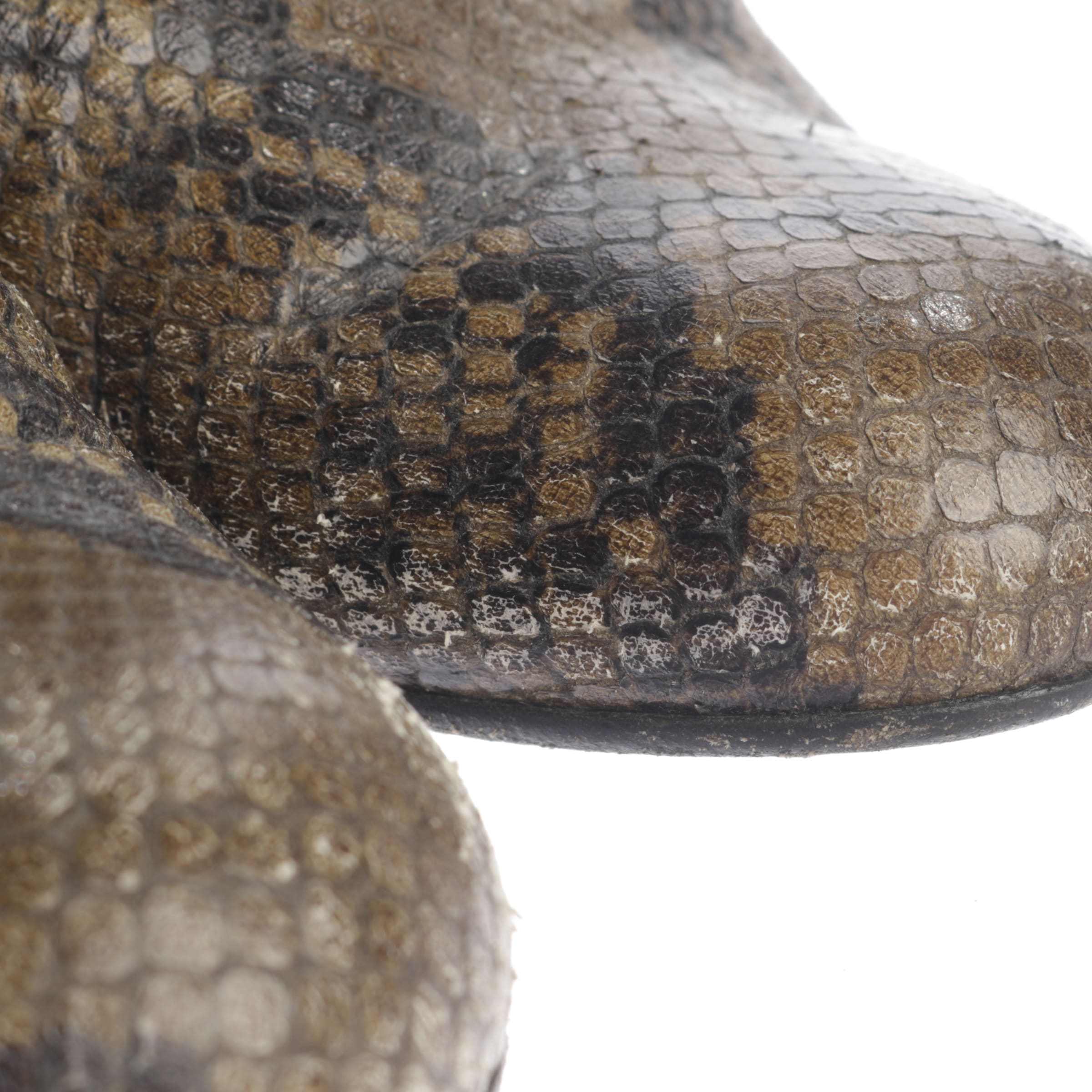 Schumacher Stiefeletten 40 in Mischfarben