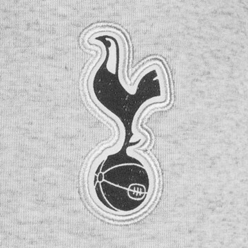 NIKE Tapered Sporthose 'Tottenham Hotspur' in Grau