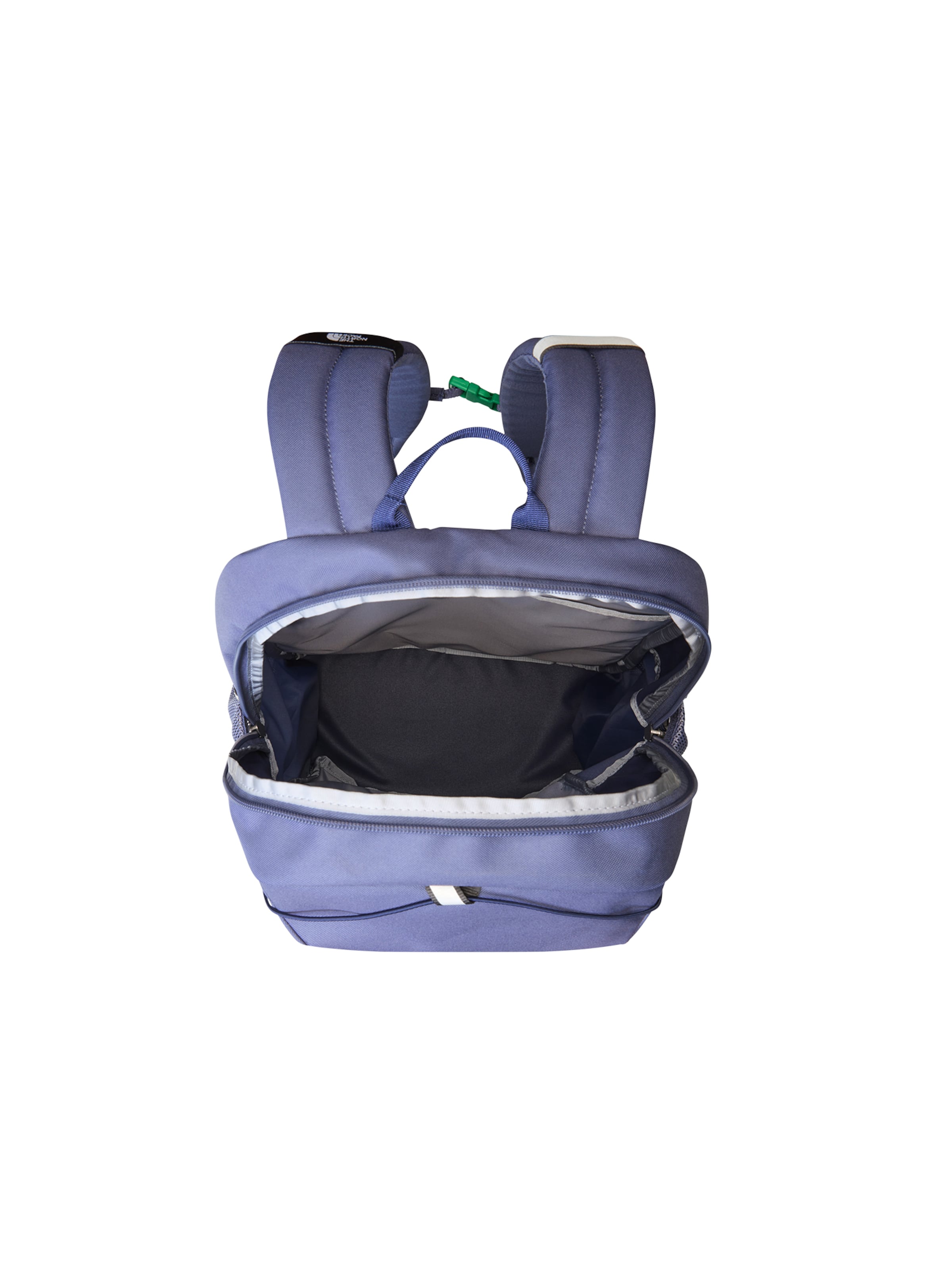 THE NORTH FACE Ryggsäck 'Court Jester' i blå