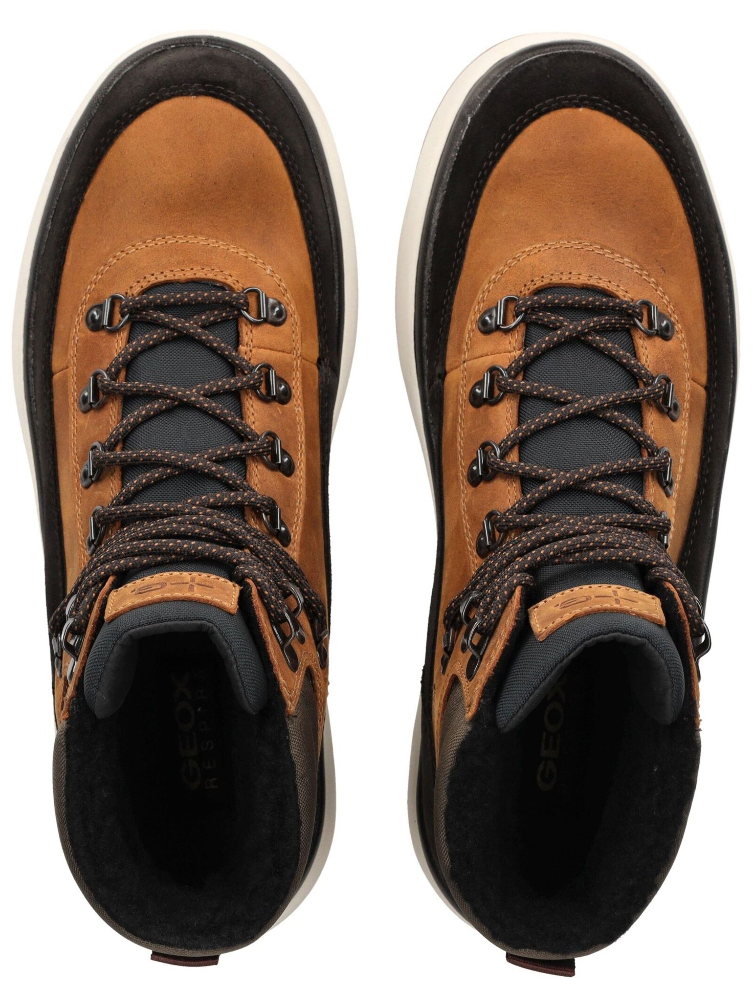 GEOX Lace-Up Boots in Brown