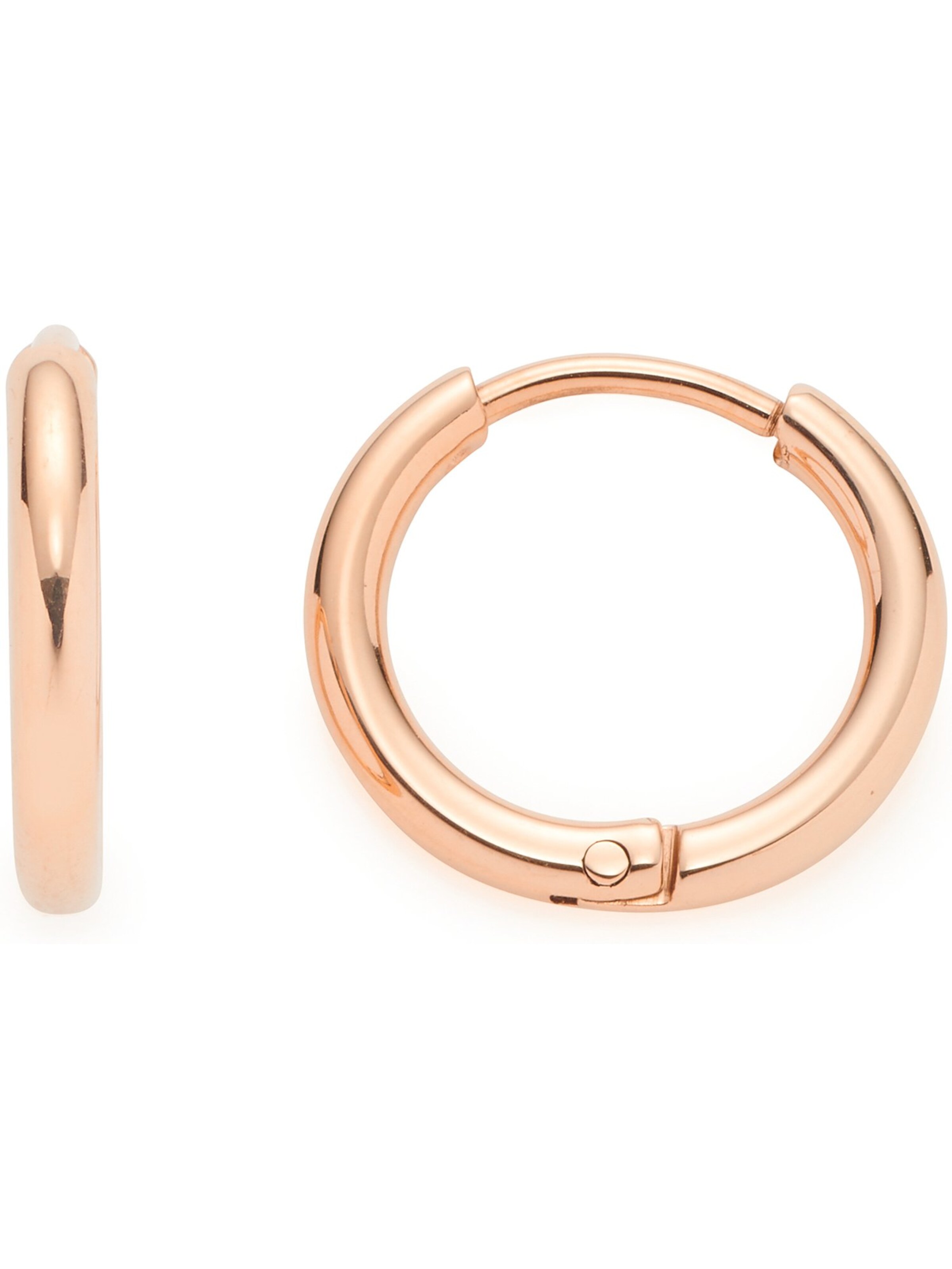 LEONARDO Earrings in Pink: front