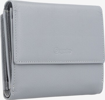 Esquire Wallet 'Viktoria' in Grey