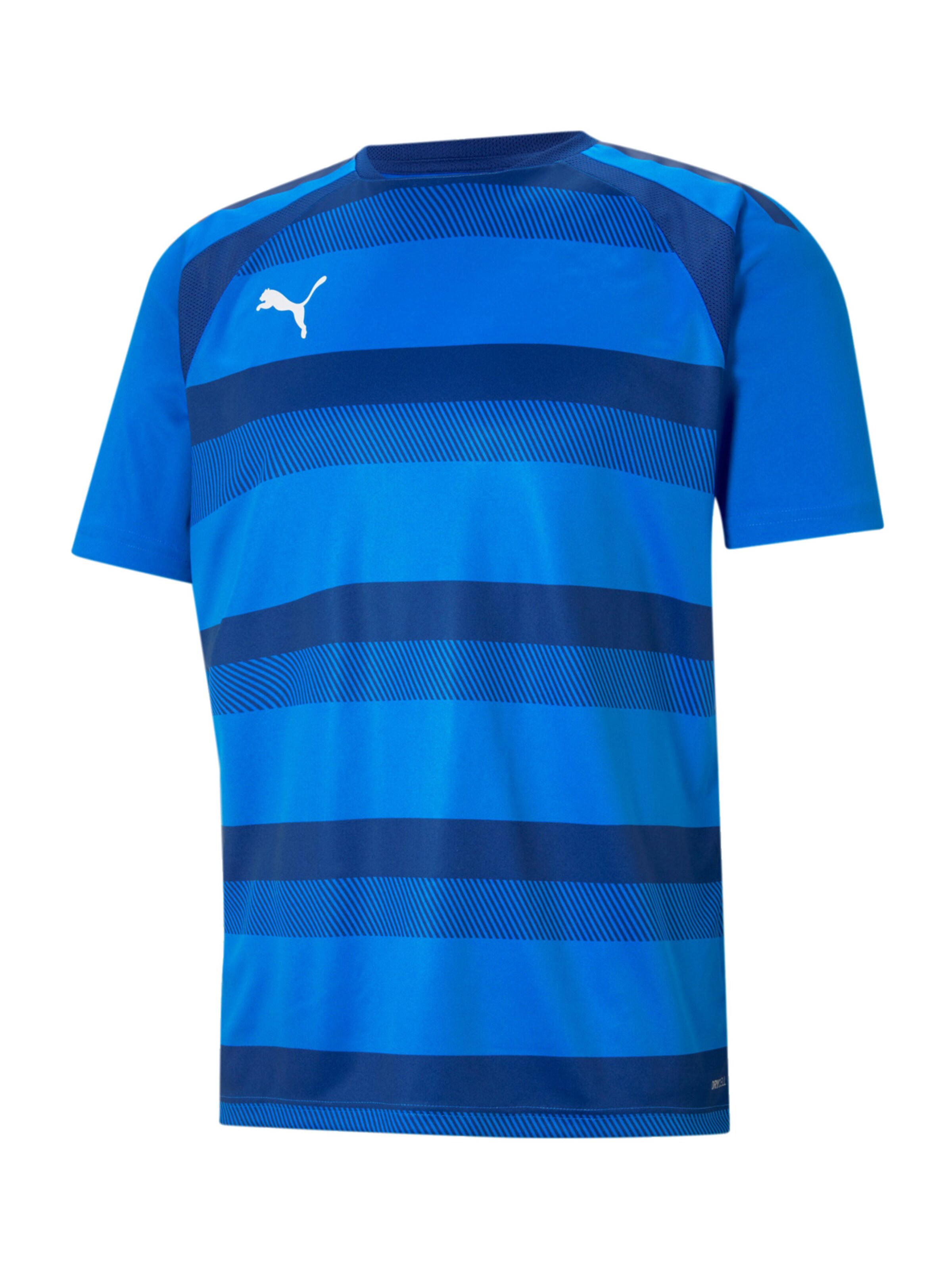 PUMA Jersey in Blue: front