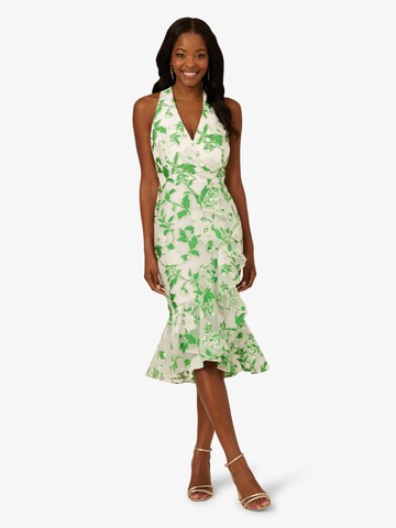 Adrianna Papell Cocktail Dress 'Organza Jacquard Dress' in Green: front