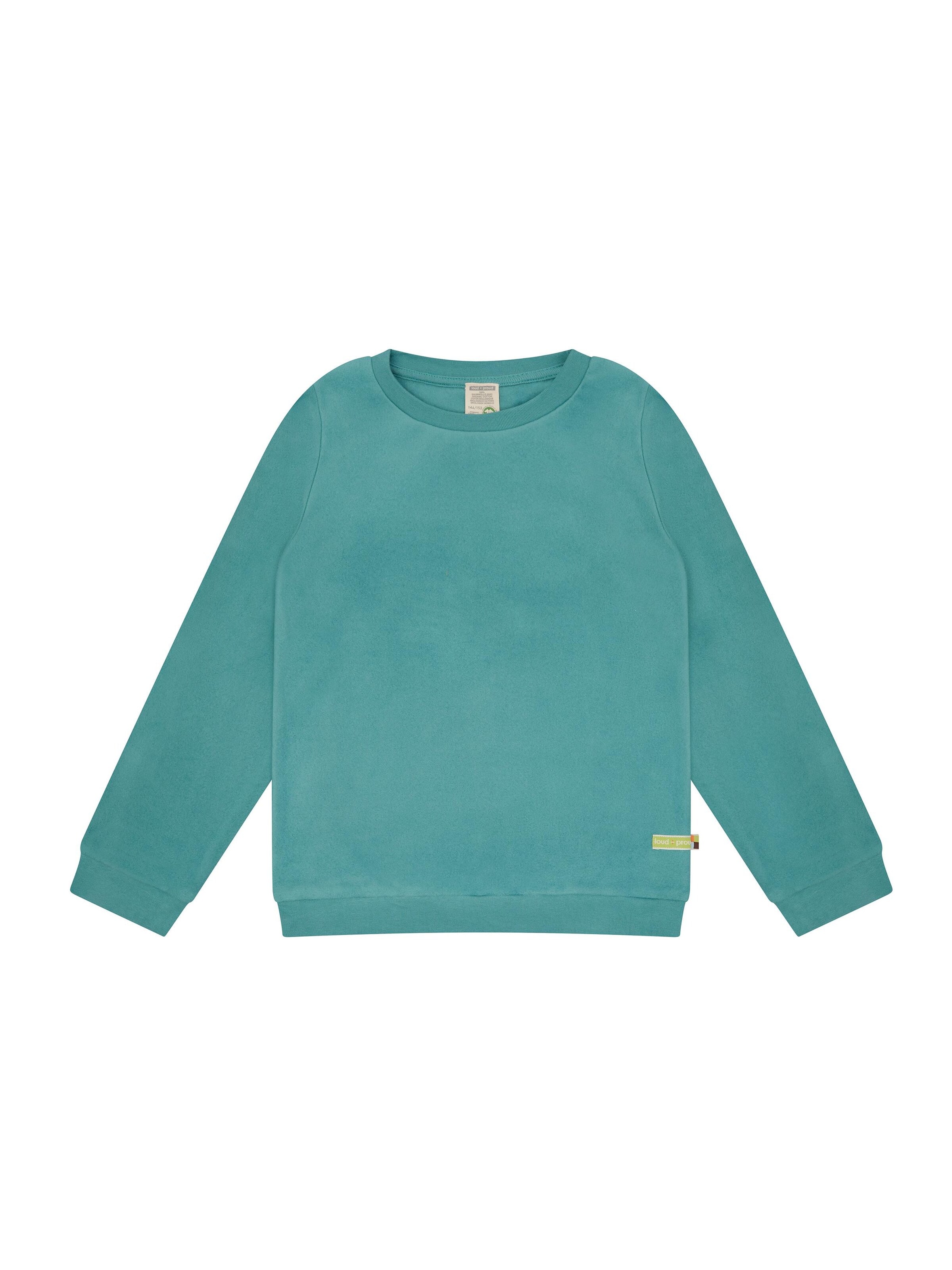 loud + proud Sweater in Green: front
