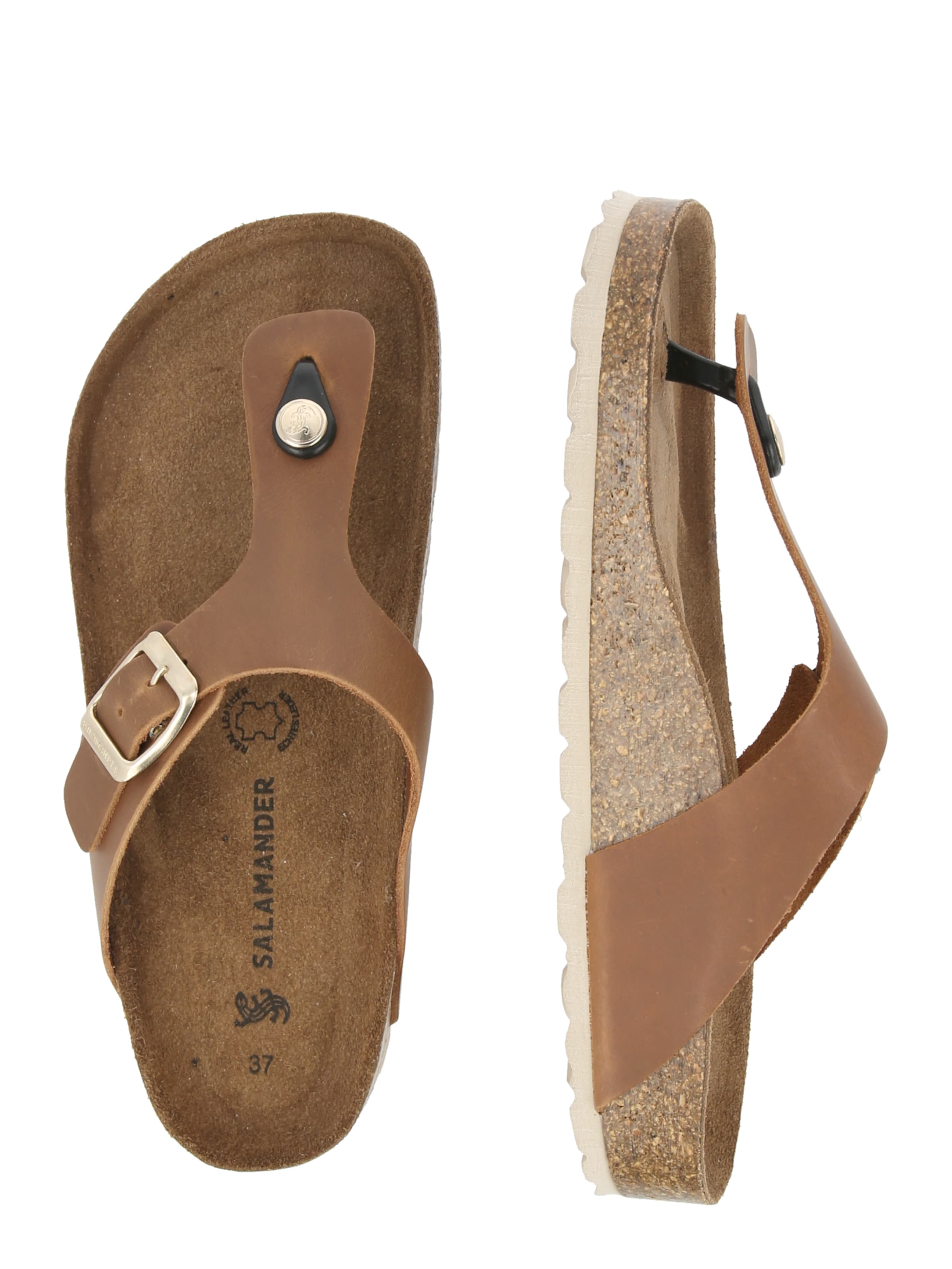 SALAMANDER Klipklappere i brun