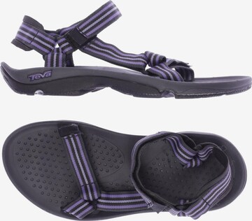 TEVA Sandals & High-Heeled Sandals in 40 in Purple: front