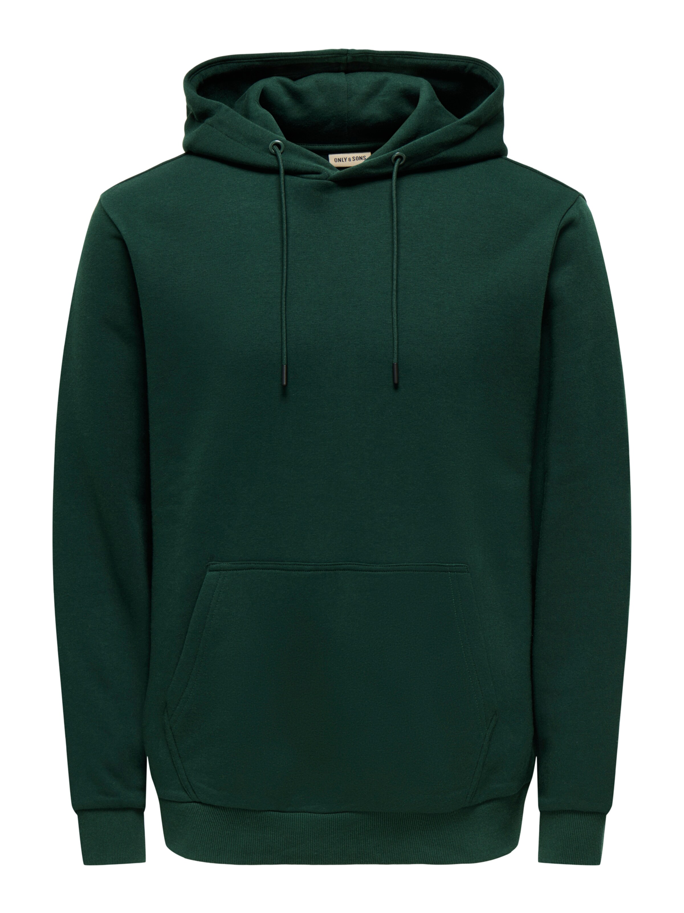 Only & Sons Regular Fit Sweatshirts 'ONSCeres' in Grün: Vorderseite