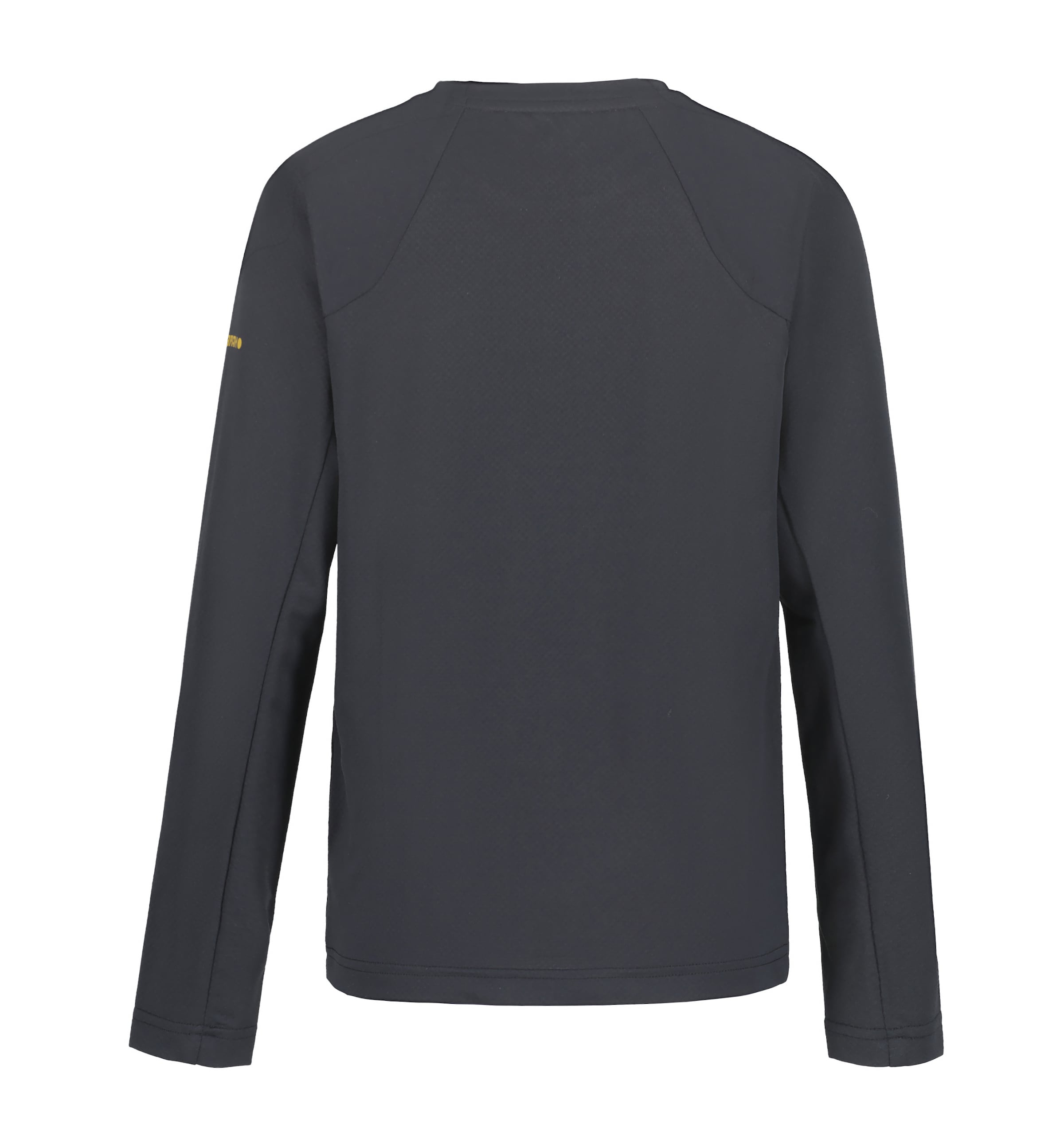 ICEPEAK Funktionsshirt 'Kershaw' in Grau