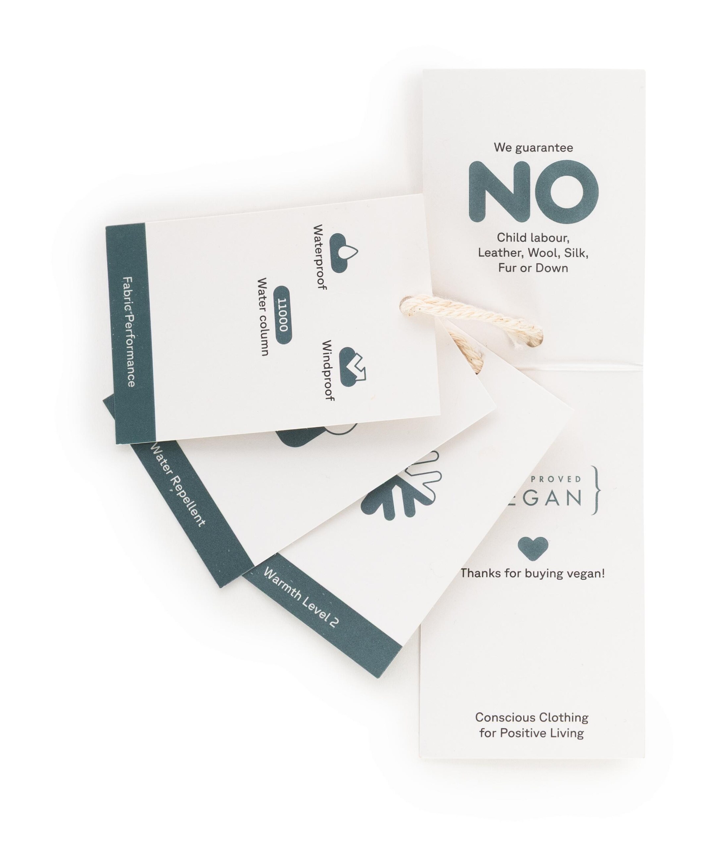 Ragwear Winterjacke 'Dizzie Warm II' in Schwarz