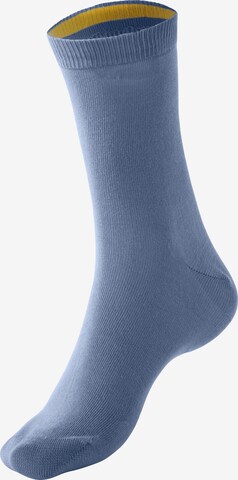 BENCH Socks in Blue