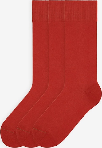 Von Jungfeld Socken 'Colour' in Rot: Vorderseite
