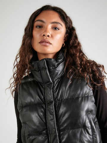 Gilet 'Dreamy' FREAKY NATION en noir