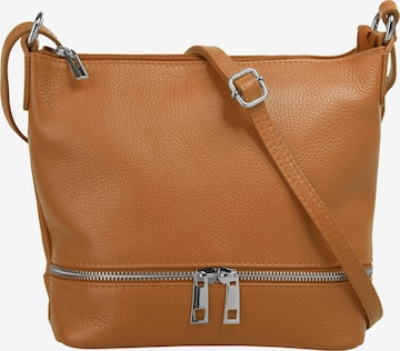 Cluty Crossbody Bag in Brown: front