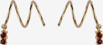 Ana Dyla Earrings in Gold: front