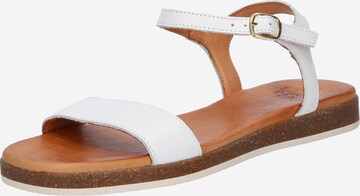 Apple of Eden Sandalen met riem 'ISA' in Wit: voorkant