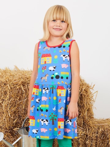 Toby Tiger Dress in Blue