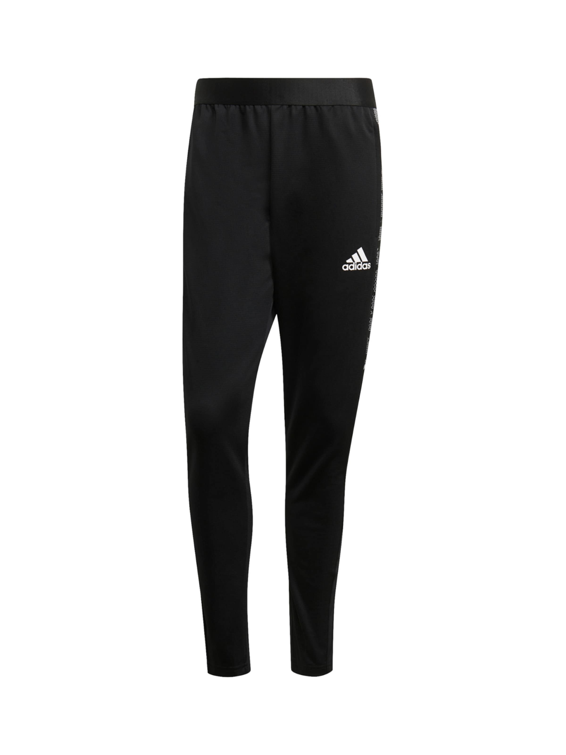 regular Pantaloni sportivi di ADIDAS SPORTSWEAR in nero: frontale