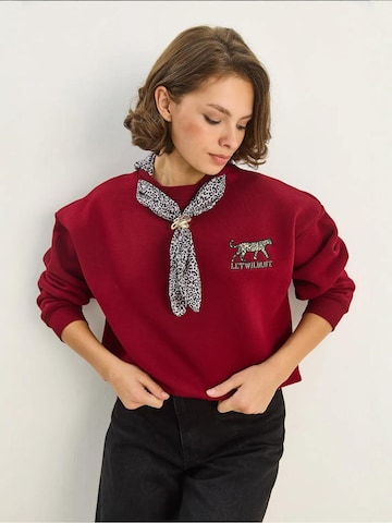 Bianco Lucci Sweatshirt in Red