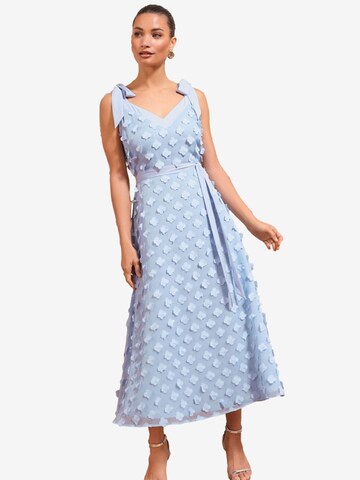 love & roses Dress in Blue: front