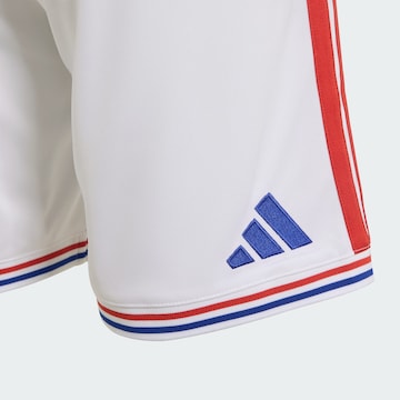 ADIDAS PERFORMANCE Regular Sportshorts 'Kroatien 26' in Weiß