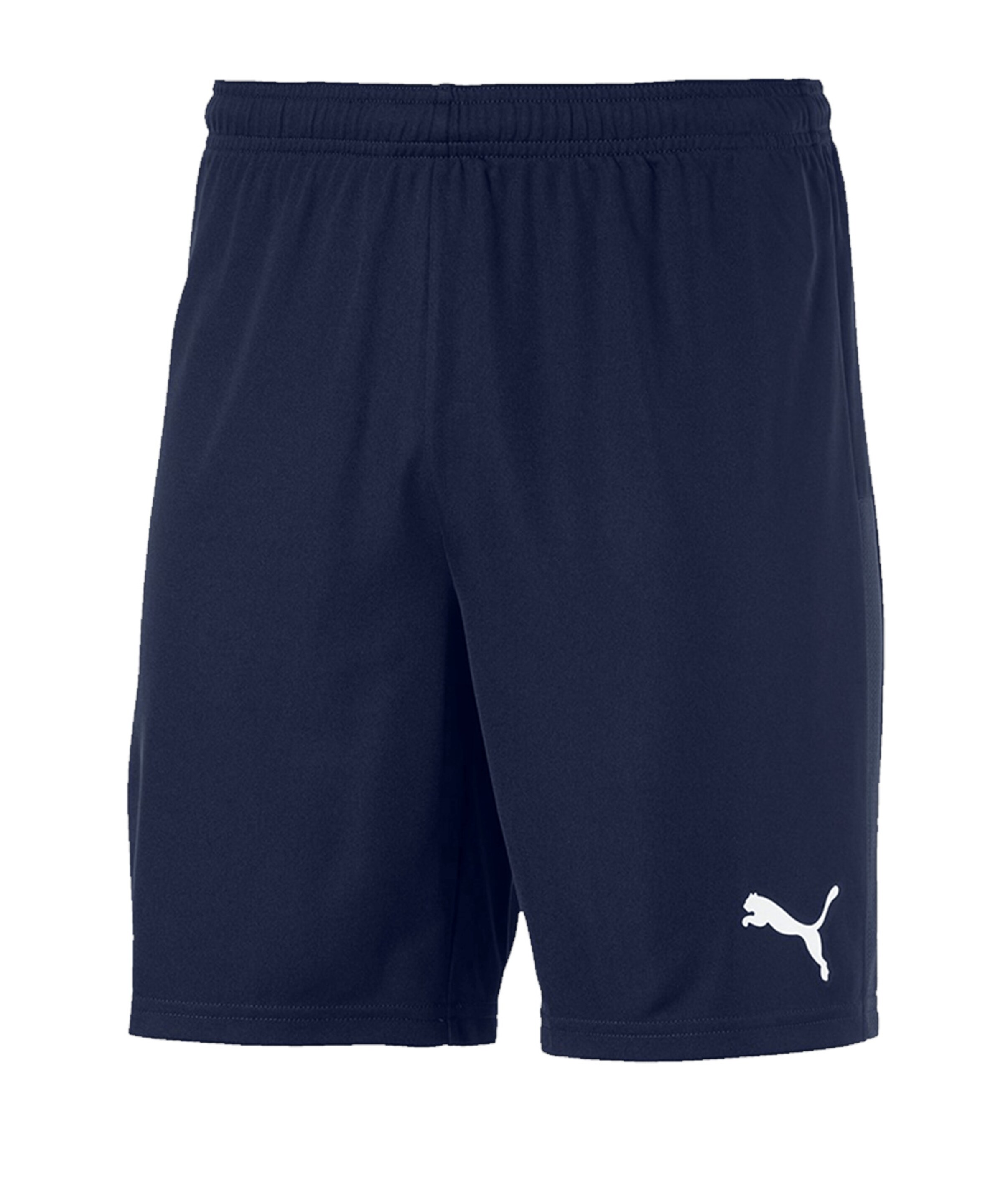 PUMA Workout Pants in Blue: front
