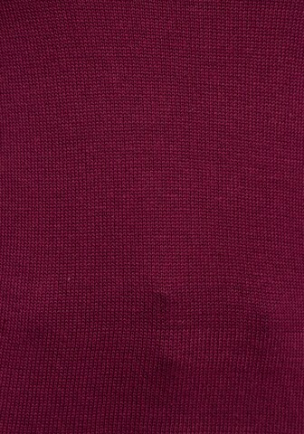 AJC Pullover in Rot