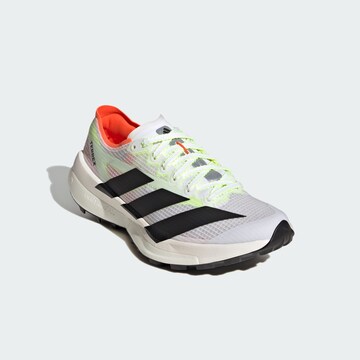 ADIDAS TERREX Running shoe 'Agravic Speed 2' in White