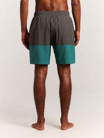 PROTEST Board Shorts 'Cabus' in Green