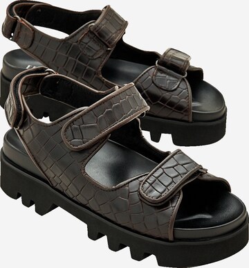 EDITED Sandals 'Taylah' in Brown