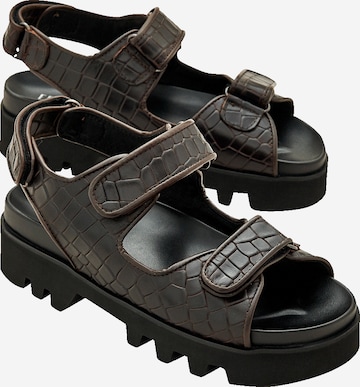 EDITED Sandal 'Taylah' in Brown