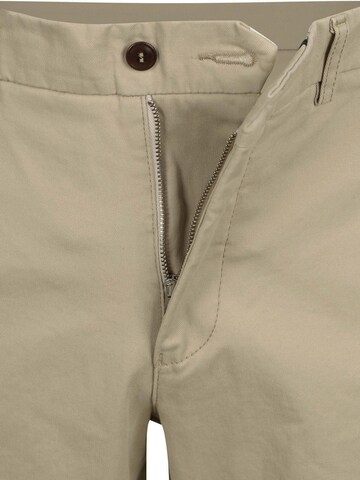 Steppin' out Regular Chino Pants in Green
