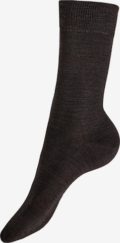 Chaussettes KUNERT en marron : devant