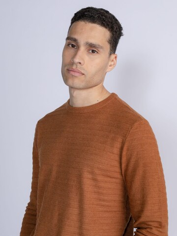 PETROL INDUSTRIES MEN Sweater in Beige