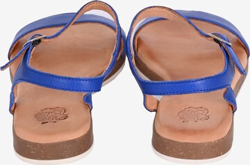 Apple of Eden Sandalen met riem 'Isa' in Blauw