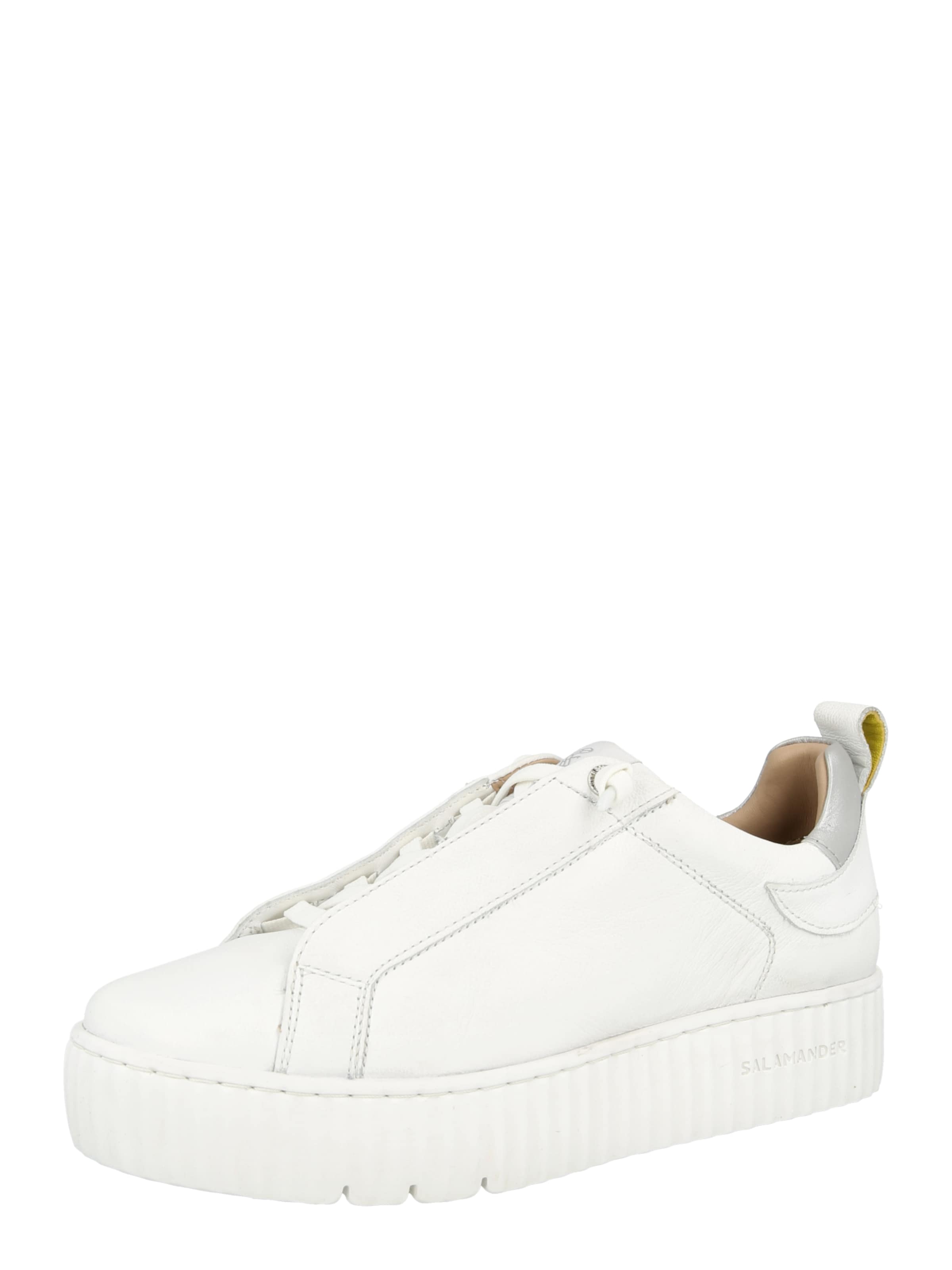 SALAMANDER Σνίκερ χαμηλό σε λευκό: μπροστά