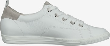 Sneaker bassa di Paul Green in bianco