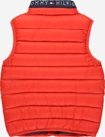 Gilet di TOMMY HILFIGER in rosso