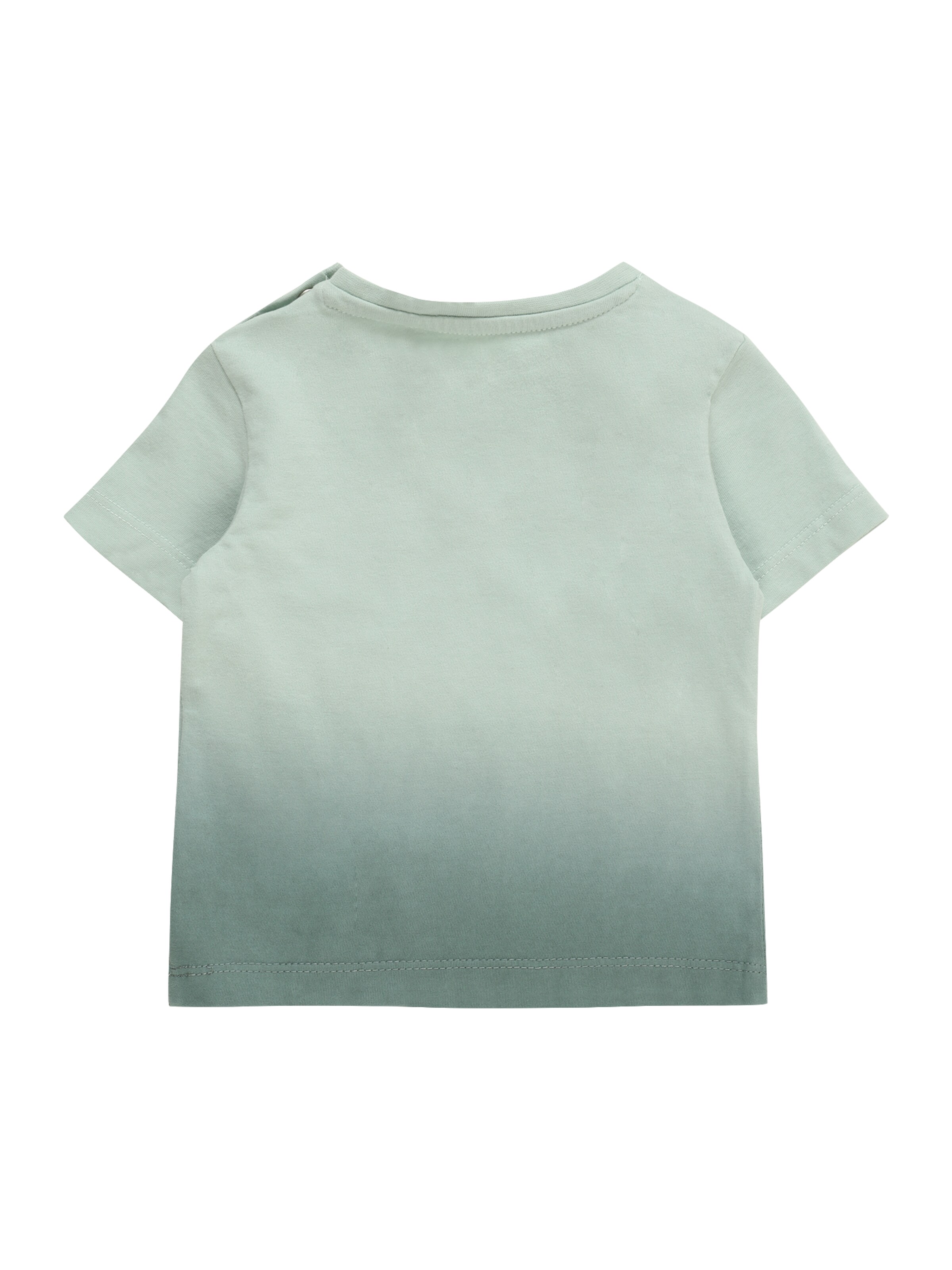 s.Oliver Shirt in Groen