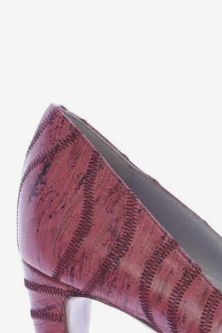 Sergio Rossi Pumps 37,5 in Pink